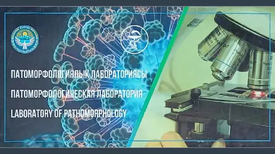 В Центре Histoscope